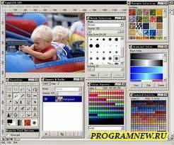 Paint STAR 2.7