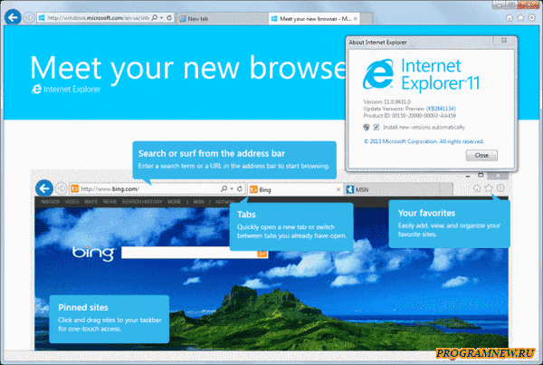 Internet explorer версии не ниже 6