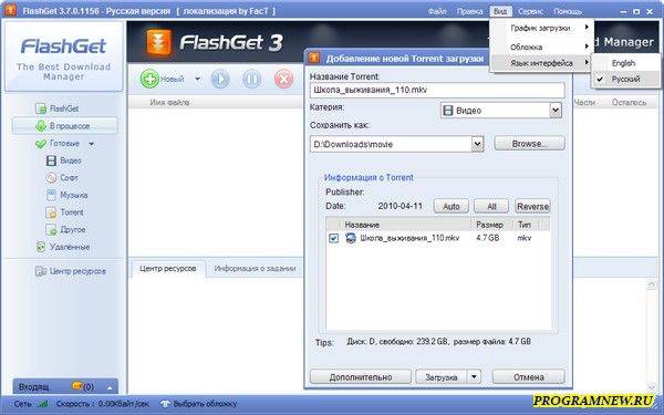 FlashGet 3.7